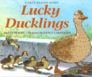 Lucky Ducklings