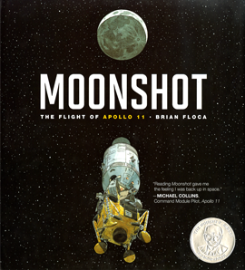 Moonshot