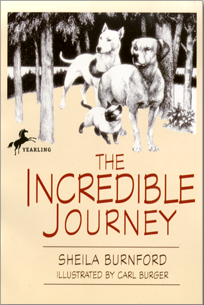 The Incredible Journey