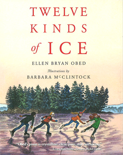 Twelve Kinds of Ice