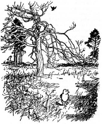 Winnie the Pooh image