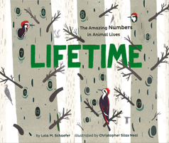 Lifetime: The Amazing Numbers in Animal Lives