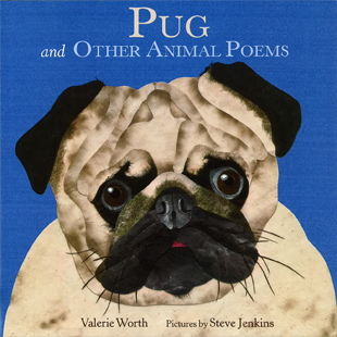 pug_cover